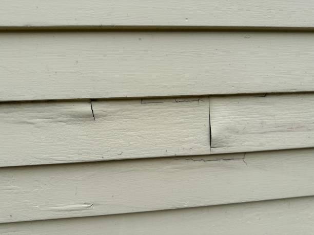 Best Siding Maintenance  in Lansdowne, PA